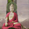 Why Buddha Touched The Earth