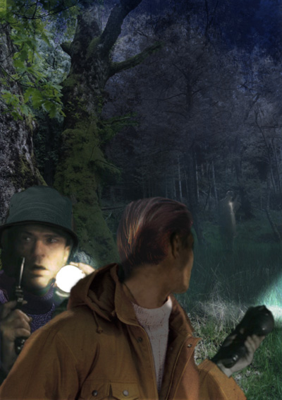 In The Woods